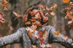 Things to Do This Thanksgiving Weekend in Hamilton 2021