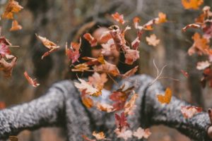Things to Do this Thanksgiving Weekend in Hamilton 2020