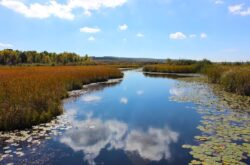 Things to Do weekend in Barrie