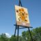 Things to do in Pembina Valley