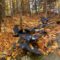 Top Fall Colour Adventures in Haliburton