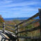 Top Summer Activities in the Town of Blue Mountains