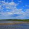 Top Things to Do at Lesser Slave Lake Provincial Park