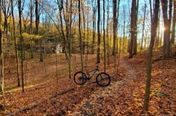 Discover Year-Round Adventure at Albion Hills: Biking, Fall Colours and Winter Fun For a Scenic Escape Near Toronto