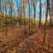 Discover Year-Round Adventure at Albion Hills: Biking, Fall Colours and Winter Fun For a Scenic Escape Near Toronto
