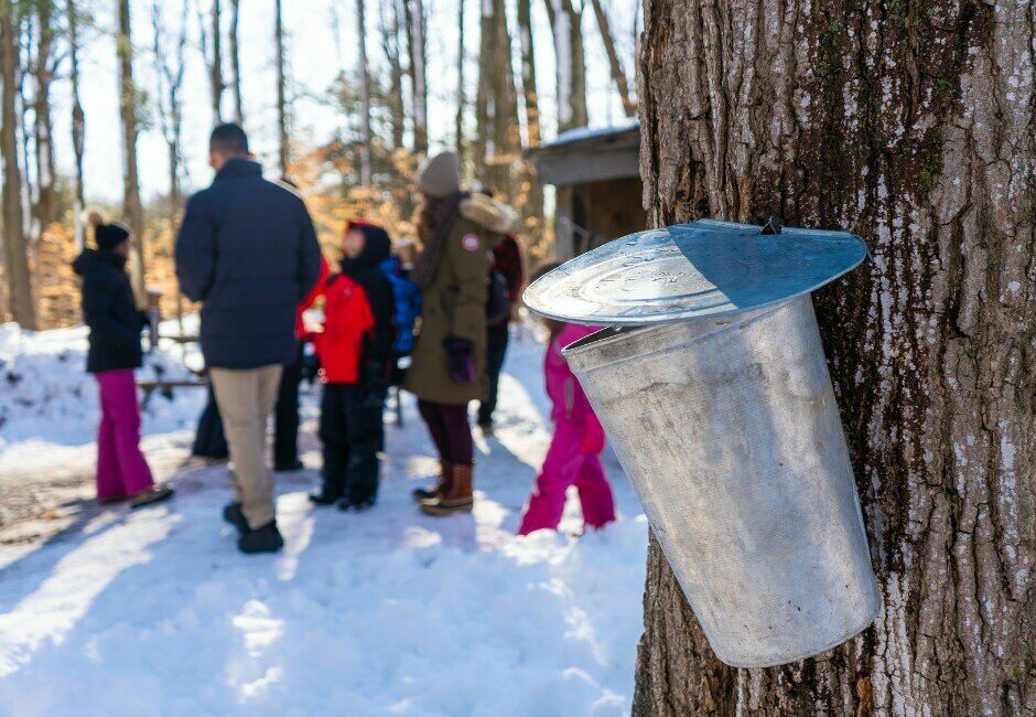 15+ Maple Syrup Festivals & Experiences in Greater Toronto Hamilton