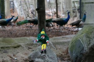 Holiday Enrichment at Toronto Zoo!