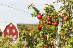 50 Things to Do in September in New Brunswick - 2026