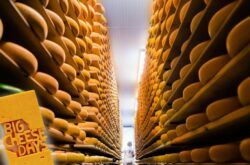 Big Cheese Days: Explore Oxford County in May For a Whey Special Experience