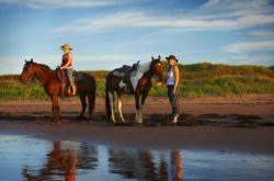 25 Ideas for a Summer Staycation on Prince Edward Island