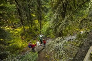 Hiking in Prince Albert