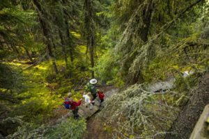 Hiking in Prince Albert