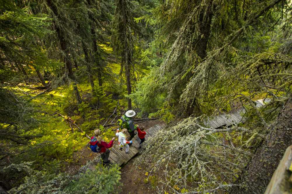 Hiking in Prince Albert