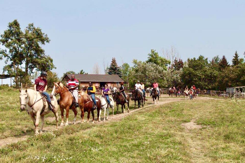 Brampton this Summer