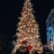 Tree Lighting