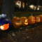 Trinity Bellwoods Park Pumpkin Parade