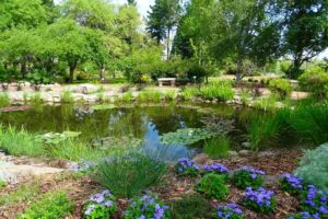 Explore Alberta's Native Trees and Plants at Trochu Arboretum and Gardens