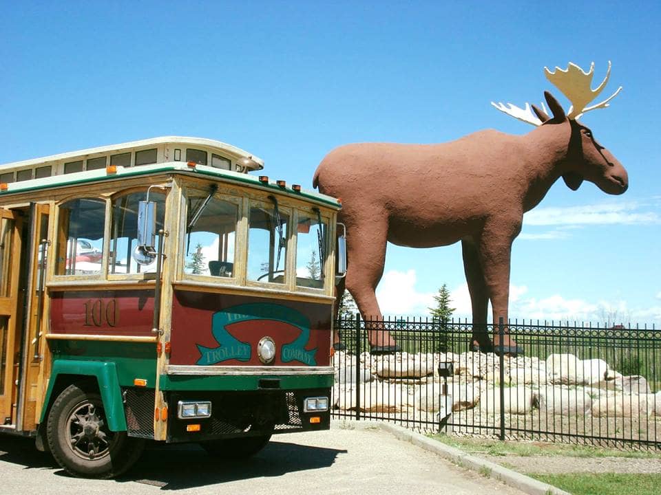 bus tour moose jaw