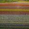 Tulip Festival