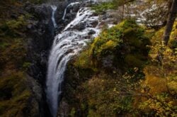 Explore Englishman River Falls Park: A Scenic Escape on Vancouver Island with Twin Waterfalls, Forest Trails, and Swimming Spots