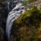 Explore Englishman River Falls Park: A Scenic Escape on Vancouver Island with Twin Waterfalls, Forest Trails, and Swimming Spots