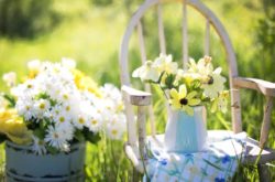 U-Pick Flower Farms For a Day Trip in Ontario