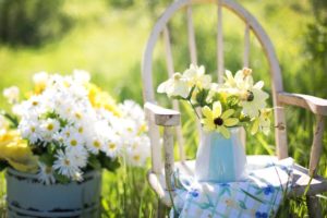 U-Pick Flower Farms For a Day Trip in Ontario