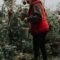 U-Picks Apple Orchards in Nova Scotia