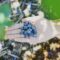 U-Pick Berry and Vegetable Farms In and Around Edmonton