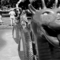 UFO Sightings, Lake Monsters, Hauntings and Other Spooky Urban Legends in Canada