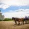 25 Summer Day Trips With Kids From Edmonton