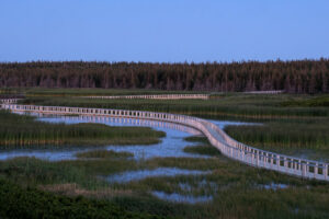 Unlock the Best of Greenwich & St. Peter's Bay in PEI: Incredible Sand Dunes, Floating Boardwalk, and Spectacular Trails