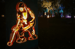 Visit Edmonton's Pumpkins After Dark This Thanksgiving Weekend for Glowing Pumpkin Trails and Halloween Fun