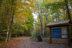 23-Acre Addition Planned for Ontario’s First Urban Provincial Park