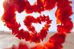 Things to Do to Celebrate 2026 Valentine's Day in Regina