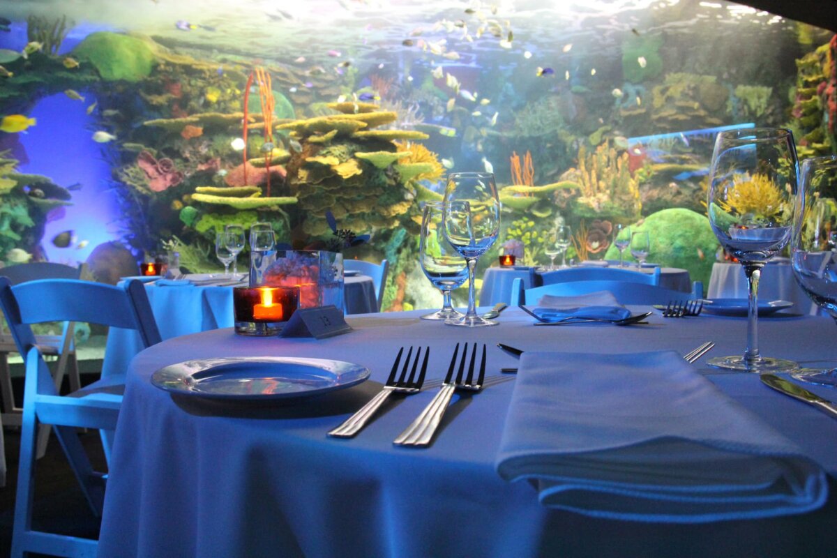 Tickets For Valentine's Day Dinner (2024) at Ripley's Aquarium of