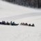 25 Outdoor Winter Activities in and Around Portage la Prairie