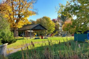 U-Pick Farms, Petting Zoos and Fun Family Farms to Visit In and Around Ottawa