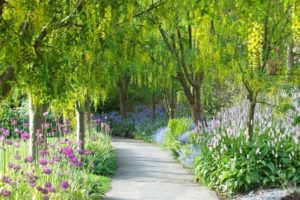 VanDusen Botanical Garden, Fraserview and McCleery Golf Courses to Open on May 1