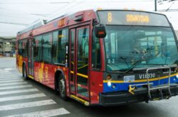 ‘Free-Range’ Father Who Taught Kids to Ride Bus Wins Court Challenge