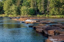 Vanderwater Conservation Area - Picnic by Limestone Rapids and Hike Through Mature Forests