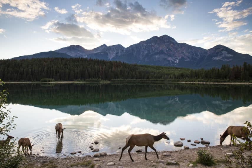 Best Things to Do in Alberta