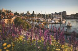 25 Day Trips from Vancouver