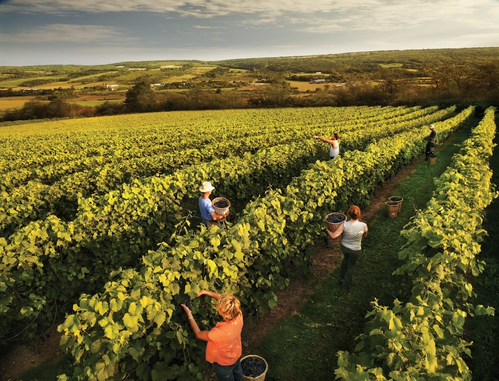 Top Rated Attractions in Nova Scotia