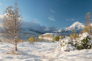 15 Things to Do During Winter in Waterton Lakes National Park