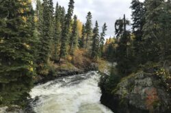 Free Fishing and Admission to Manitoba Provincial Parks This Weekend