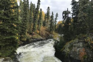 Free Fishing and Admission to Manitoba Provincial Parks This Weekend