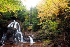 25 of the Best Waterfalls to Visit in Nova Scotia