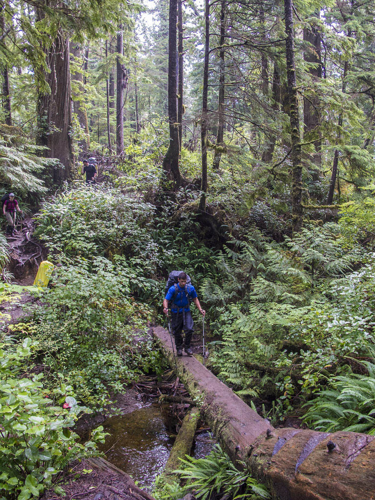 west coast trail tours