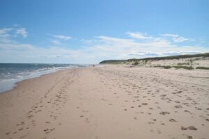 Where Sand Sings: The Charms of Basin Head Provincial Park on PEI